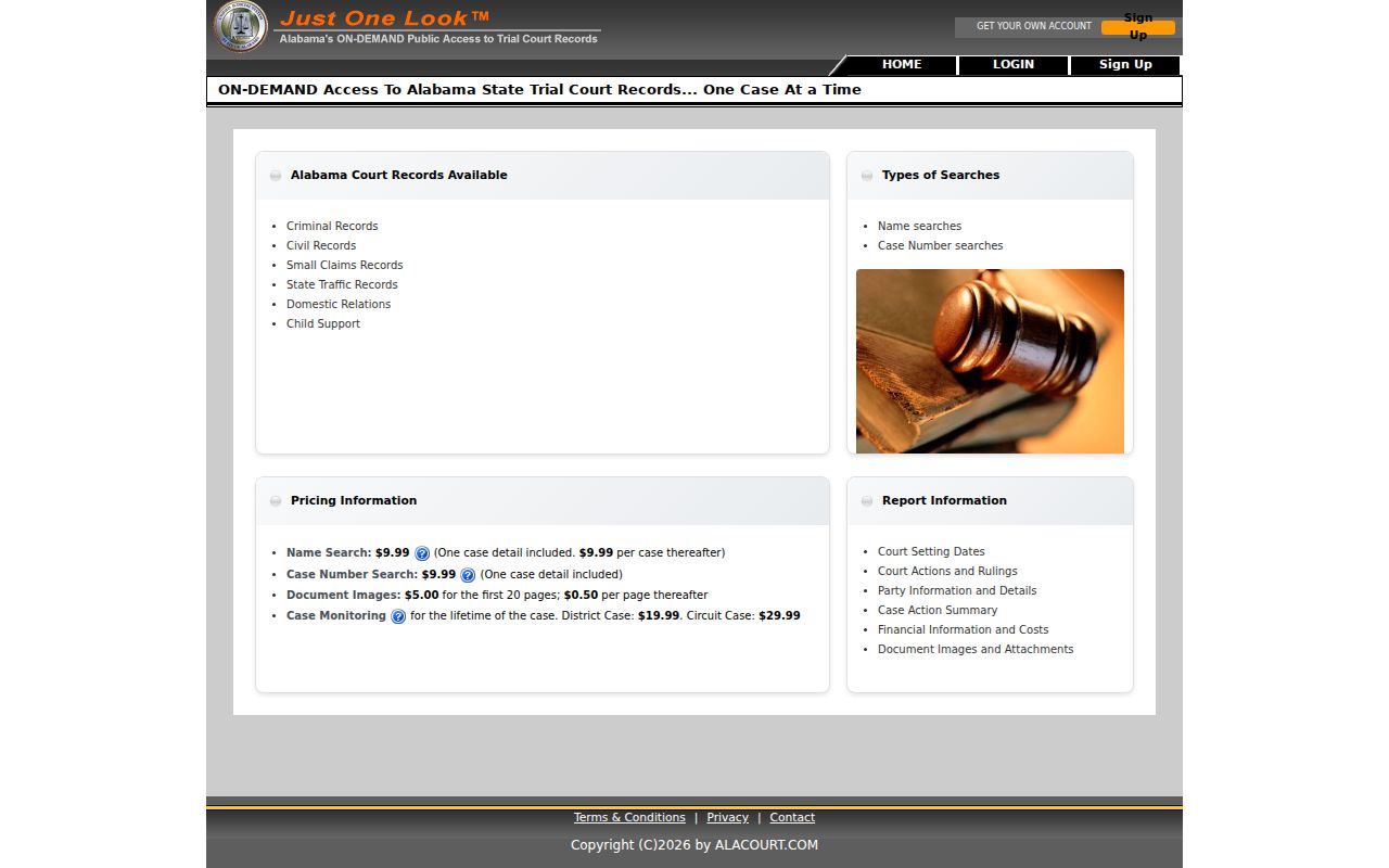 Dallas County case search Just One Look landing page